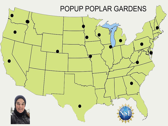 pop up poplar map