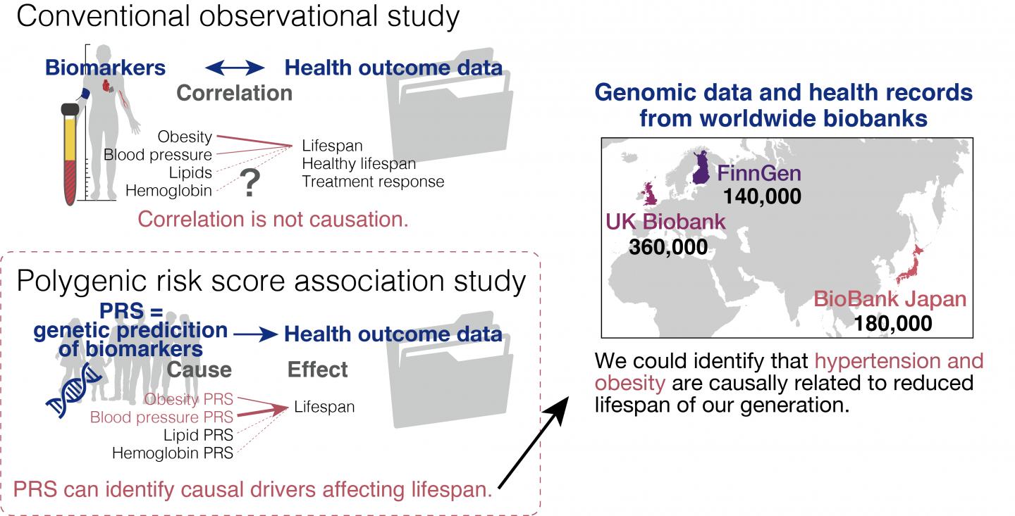 Identification of Causal Drivers