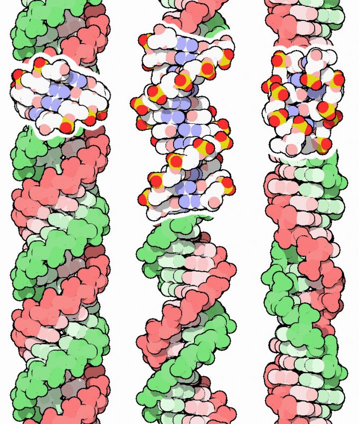 DNA