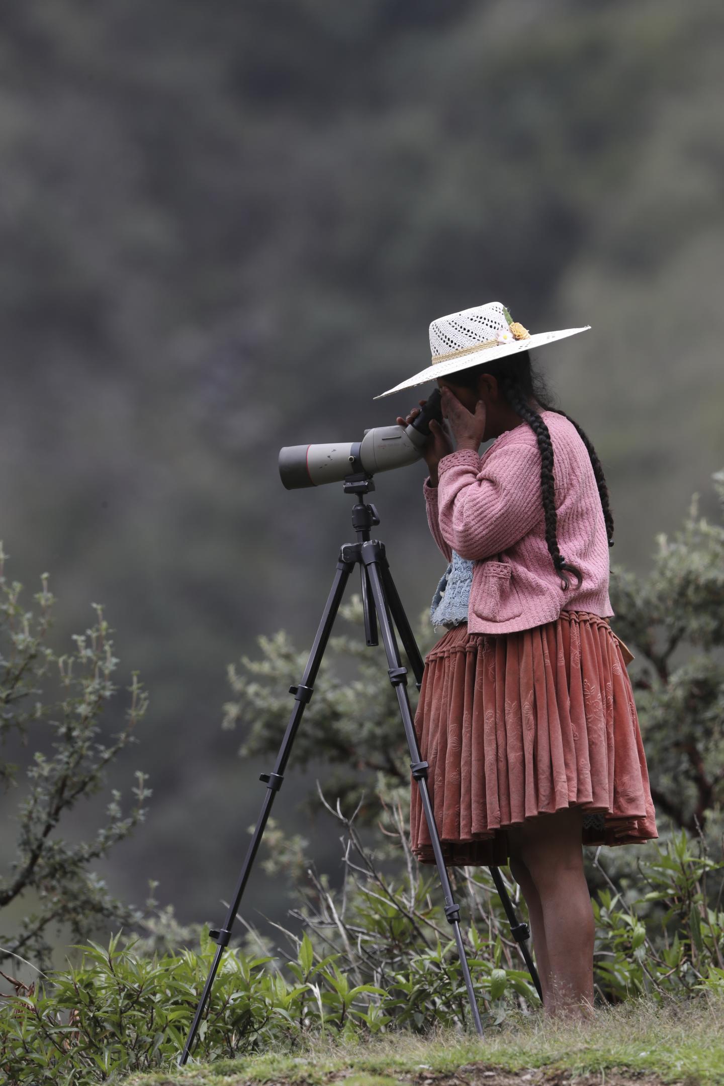 Quechua Woman Looking for Birds, San Miguel Polylepis Forest, Bolivia