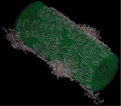 Simulation of a Carbon Nanotube