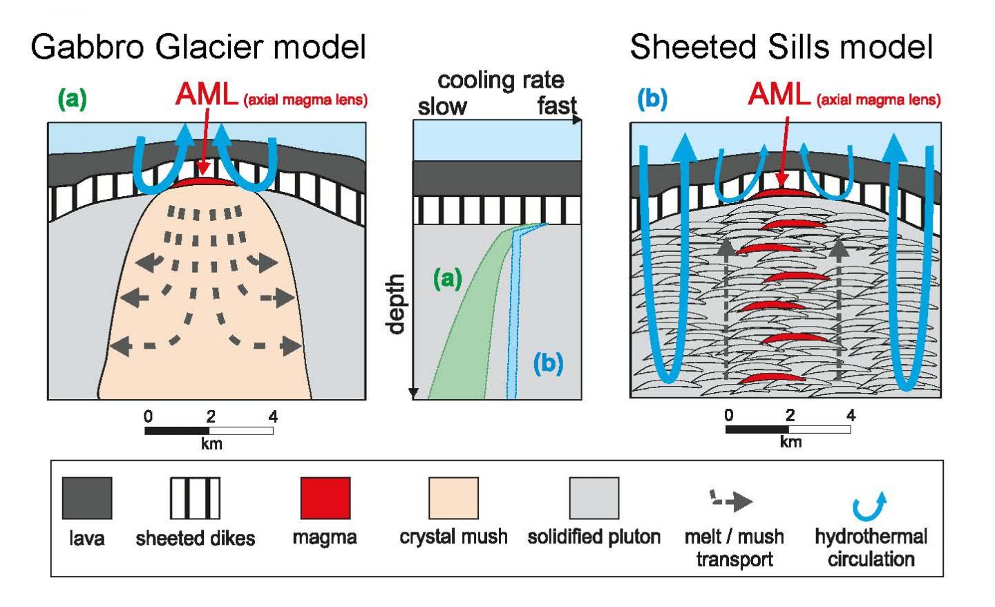 Crust formation Cartoon