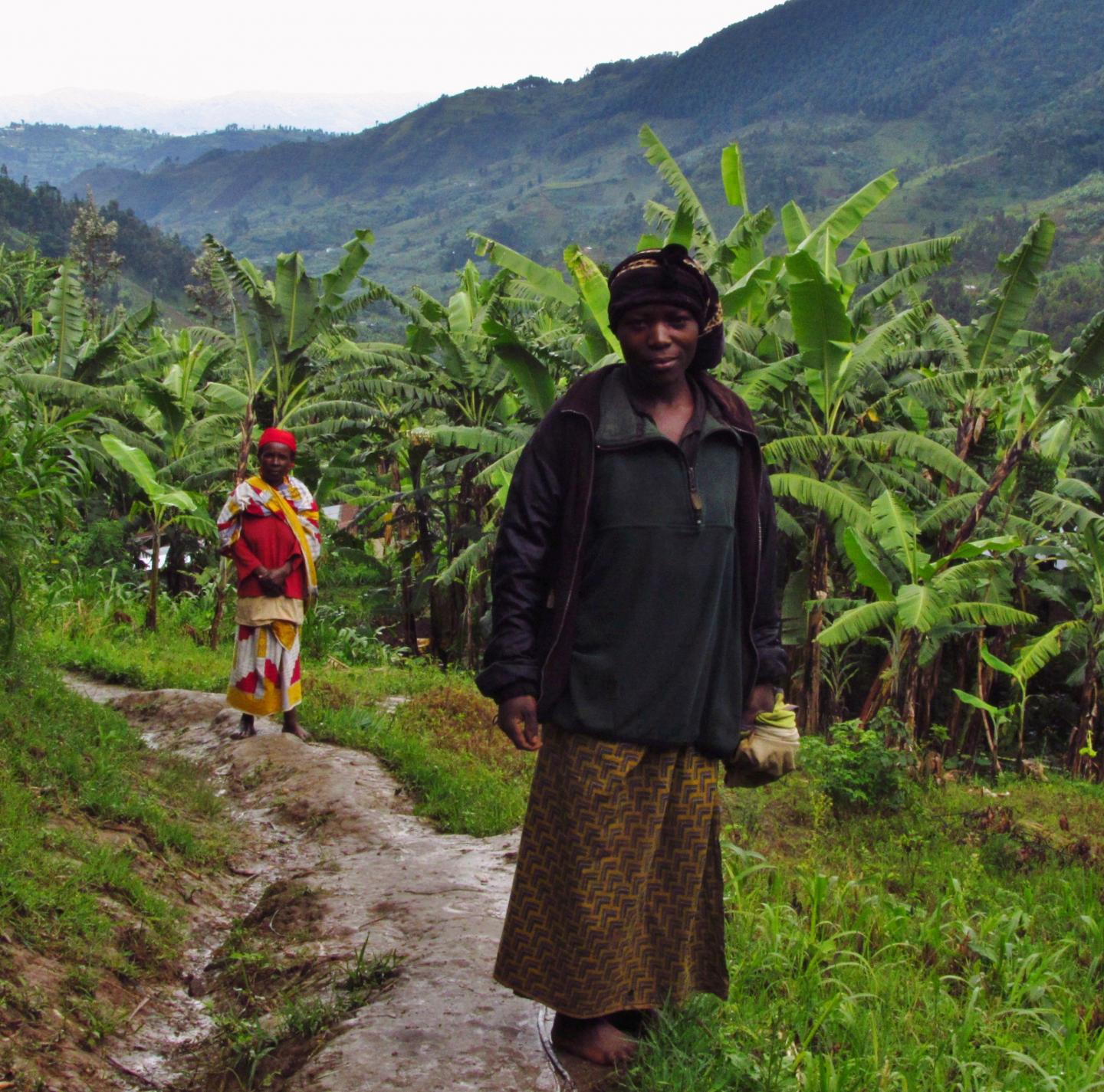 Rwandan Agriculture (1 of 3)