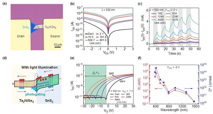 Figure 2: Characterizations of the photodetection properties of Ta2NiSe5/SnS2 heterojunction.