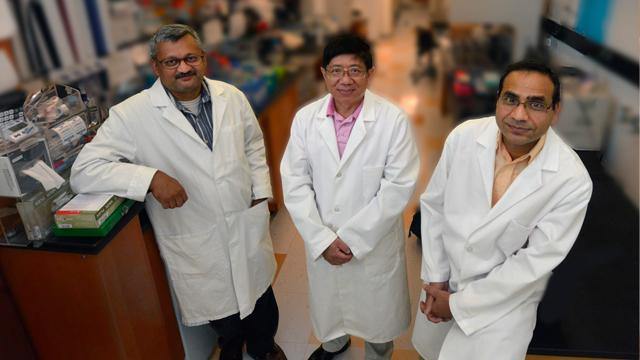 Drs. Sharad Purohit, Ashok Sharma, and Jin-Xiong She, Medical College of Georgia