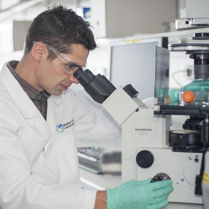 Daniel Gray, Walter and Eliza Hall Institute