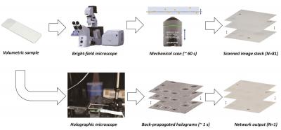 Bright-field Holography