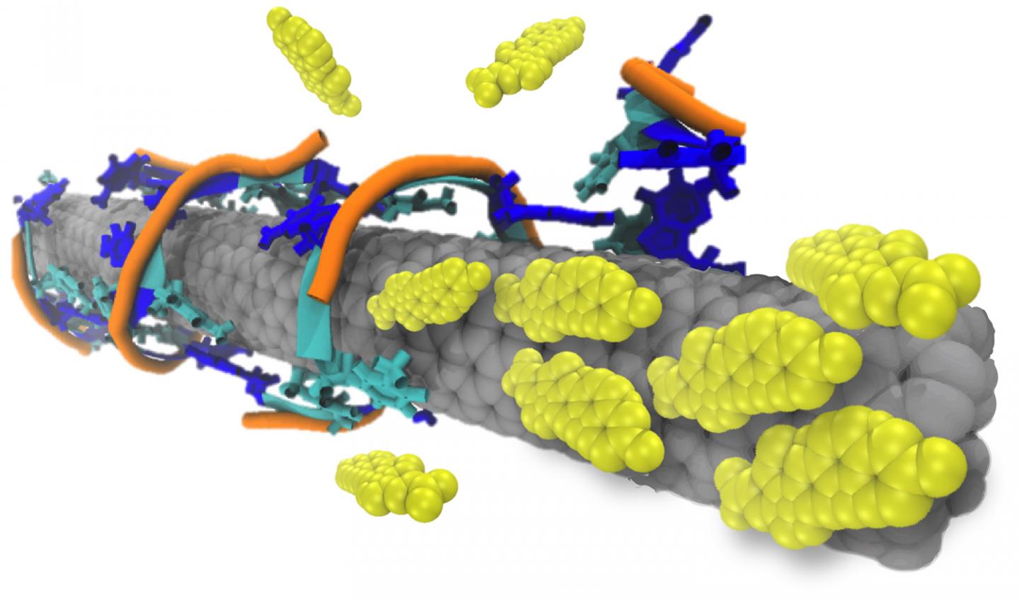 Carbon Nanotube Sensor