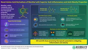 Novel amino acid derivatives of menthol