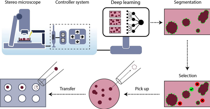 Schematic representation of the SpheroidPicker