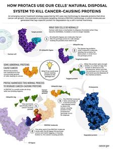 Infographic: PROTACs