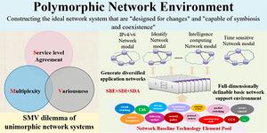 Polymorphic Network Environment