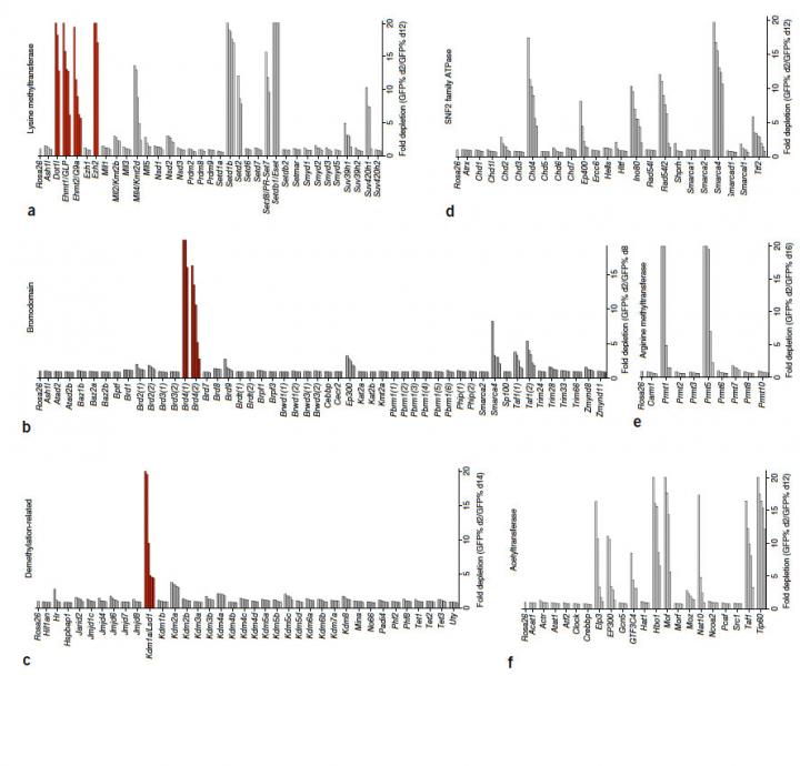 A Test to Spot Cancer Cells' Achilles' Heels