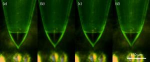 Electrospray engines