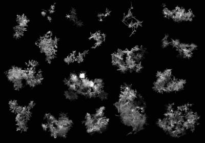 Aggregate Snowflakes