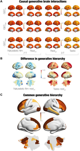 Fig. 4. Identifying the underlying causal drivers of hierarchy changes in movies, rest and tasks.