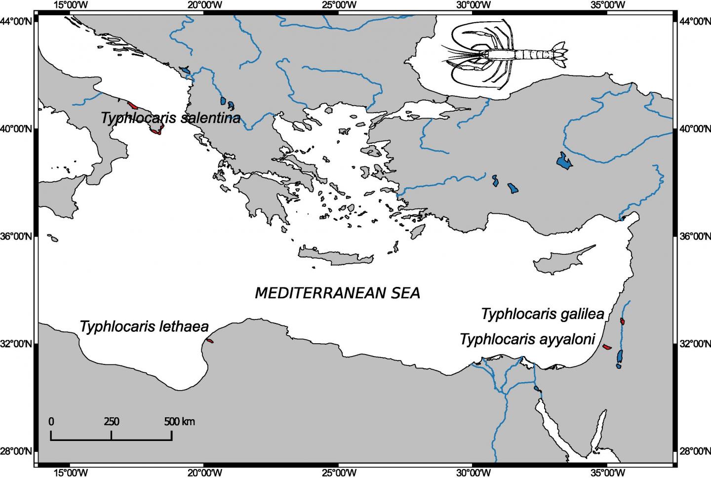<i>Typhlocaris</i> -- Distribution Map