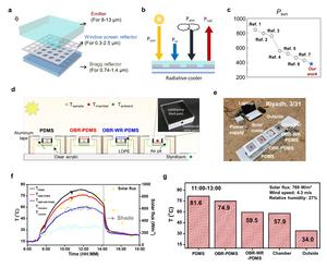 Concept and performance of the radiative cooler