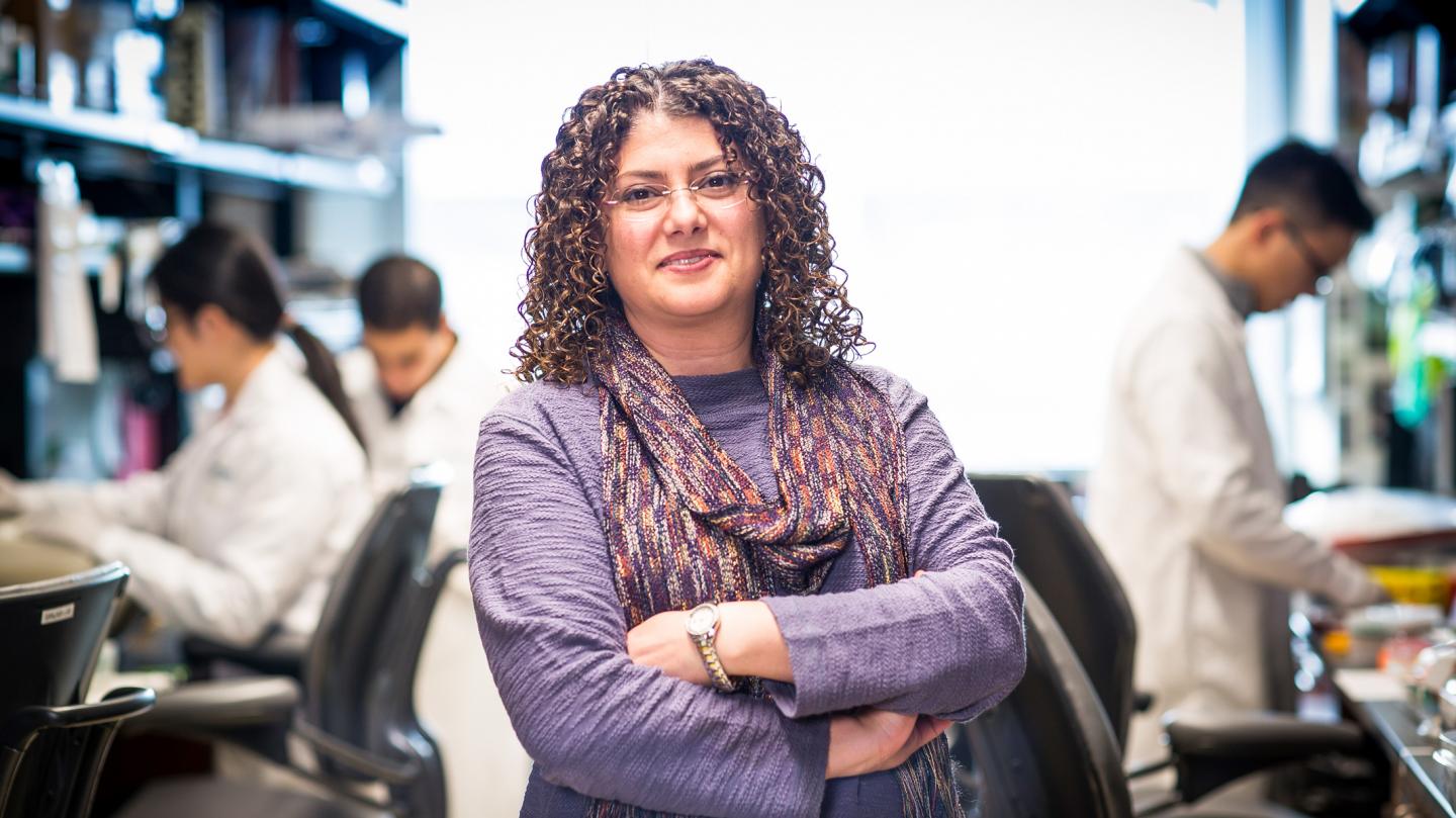 Shomyseh Sanjabi, Gladstone Institutes 