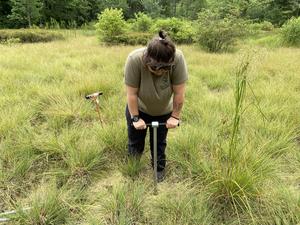 A 13,000-year history of vegetation and fire in a rare inland pine barrens: The Albany Pine Bush (Albany County, New York, USA)