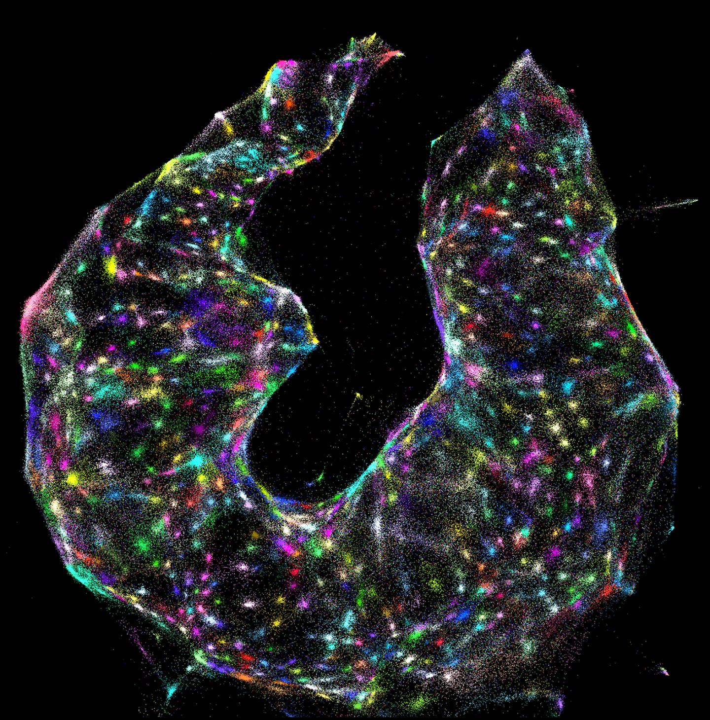 DNA Microscopy