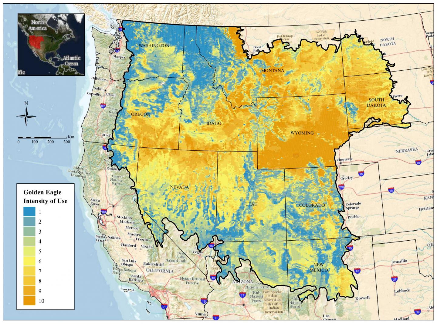 Golden Eagles May Be More Abundant in Undeveloped Landscapes with High Elevation, Wind Speed