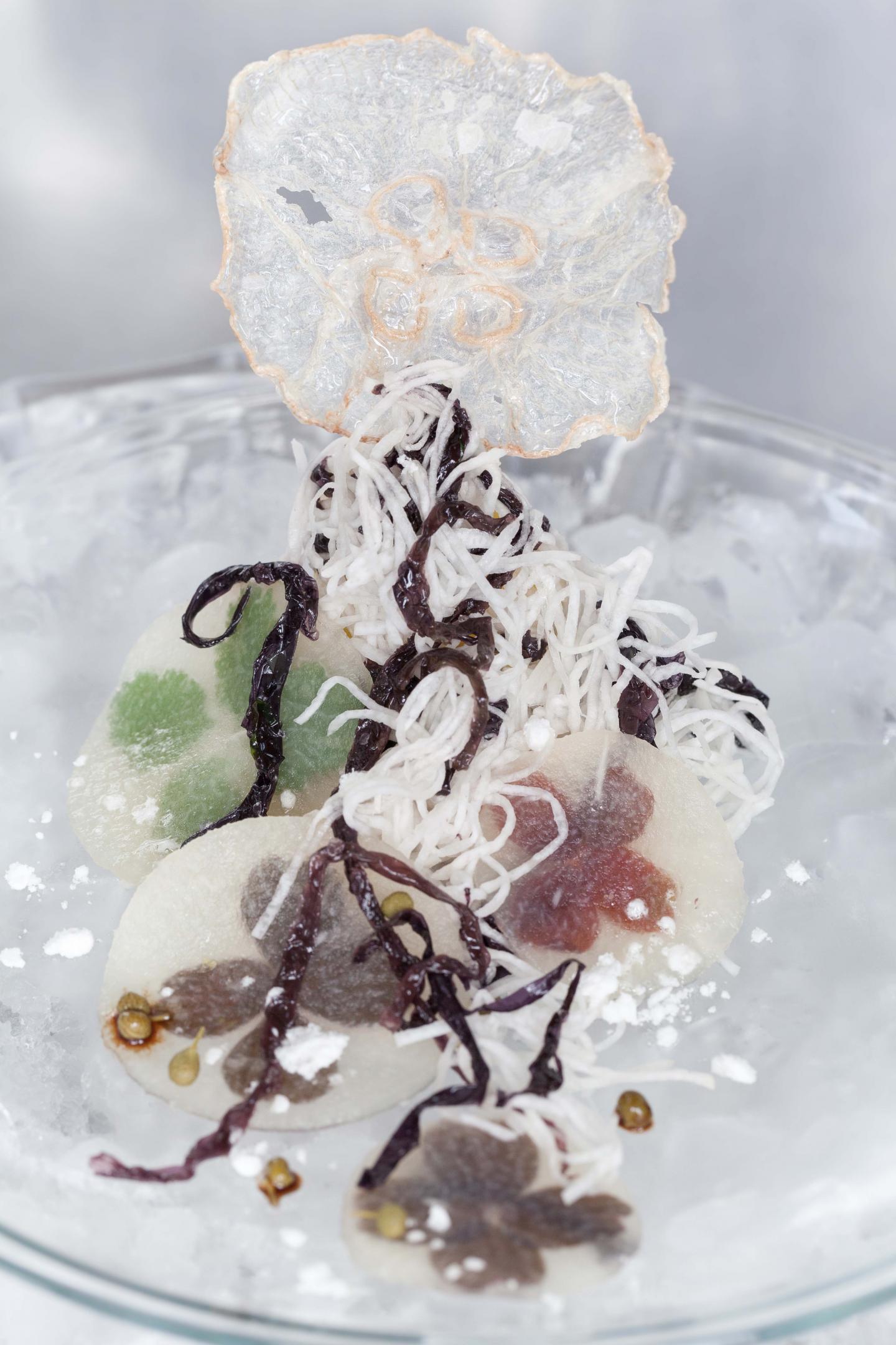 Gastronomy Jelly Crisp