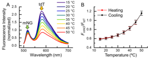 Fig. 2.