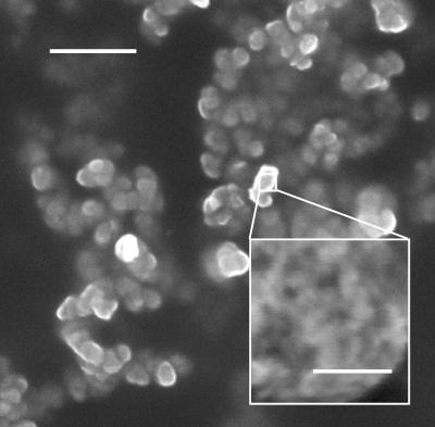 Silicon Nanoparticles