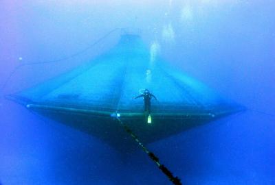Offshore Aquaculture Demonstration Project
