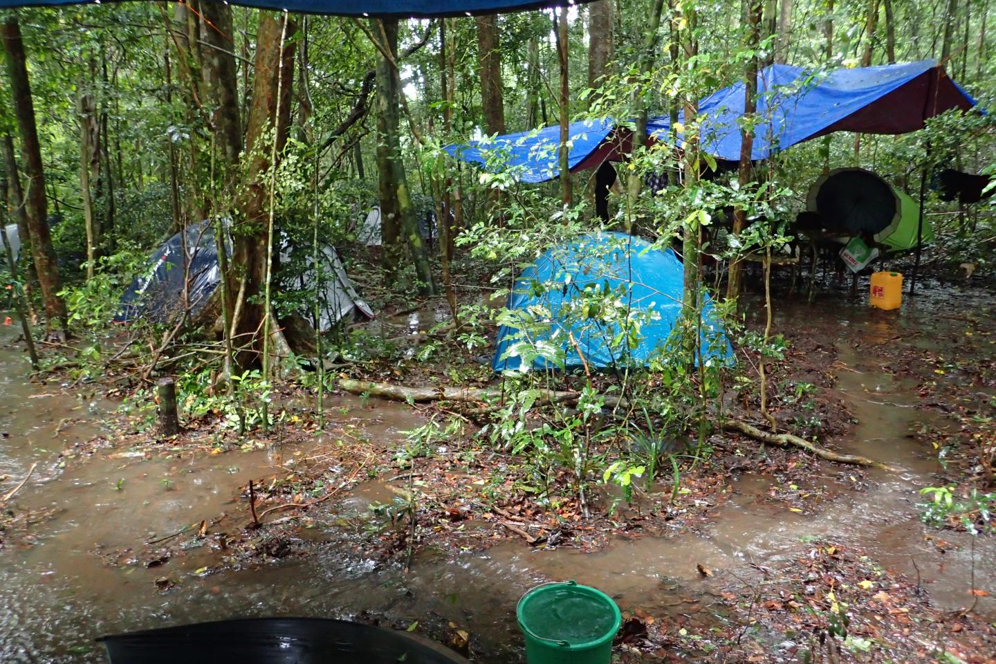 Montagne-dAmbre_Camp-during-Cyclone-Ava_MDScherz.JPG