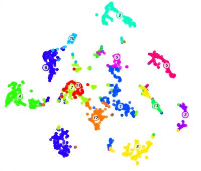 Single Cell Atlas of Human Enteroendocrine Cells