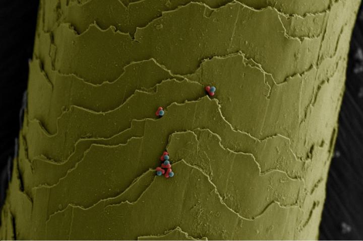 Chemists Create Microscopic and Malleable Building Blocks