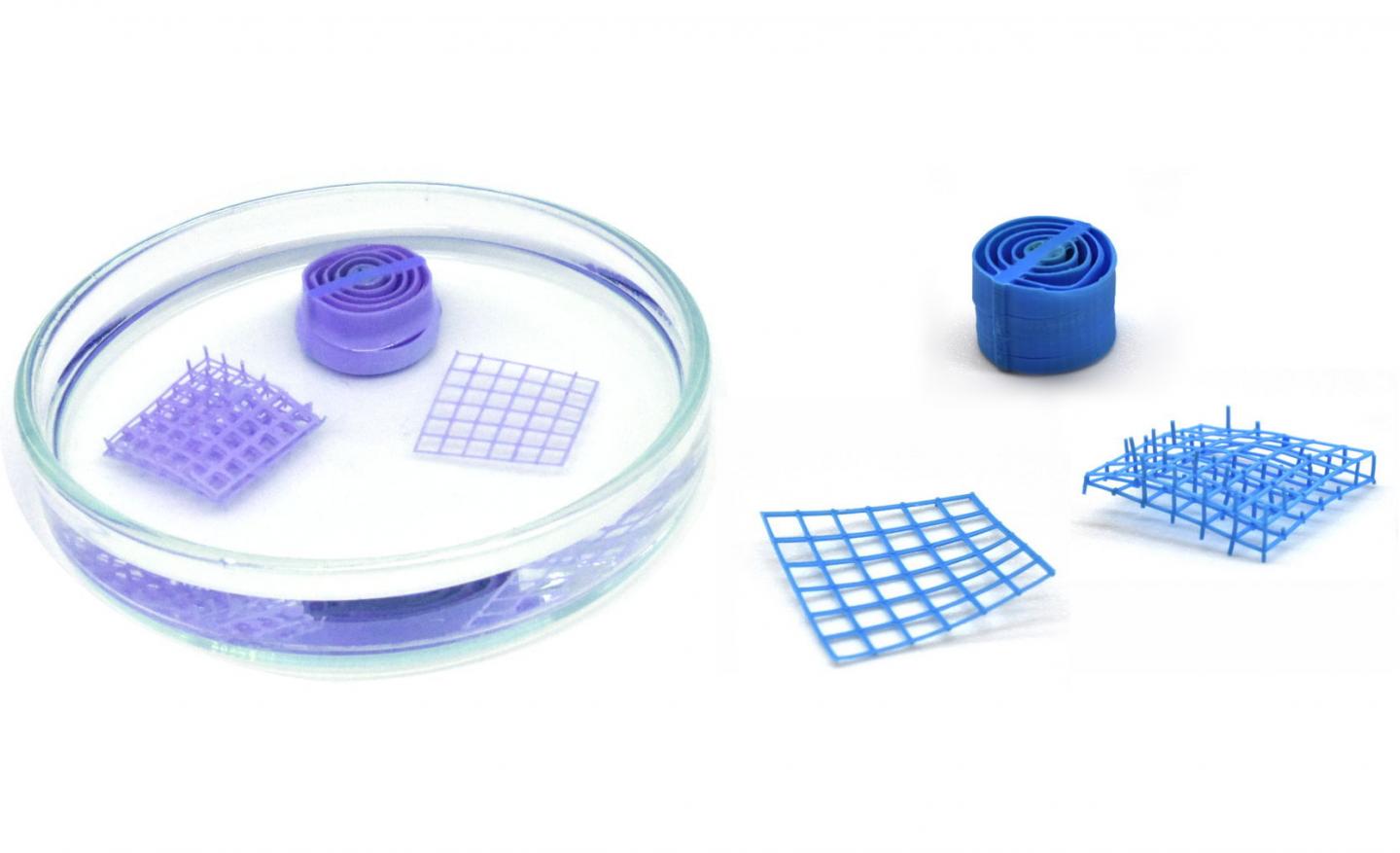 Scientists Develop Printable Water Sensor