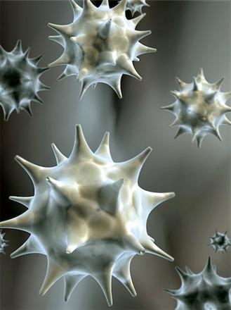 Colony of Pathogen Viruses