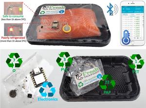 Recyclable smart package