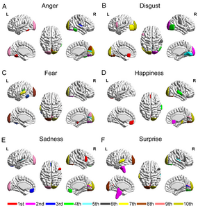 Decoding six basic emotions from brain functional connectivity patterns