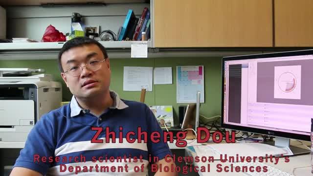 Dr. Zhicheng Dou on <I>Toxoplasma gondii</I>