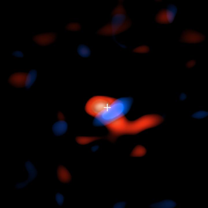 ALMA Image of Cool Disk