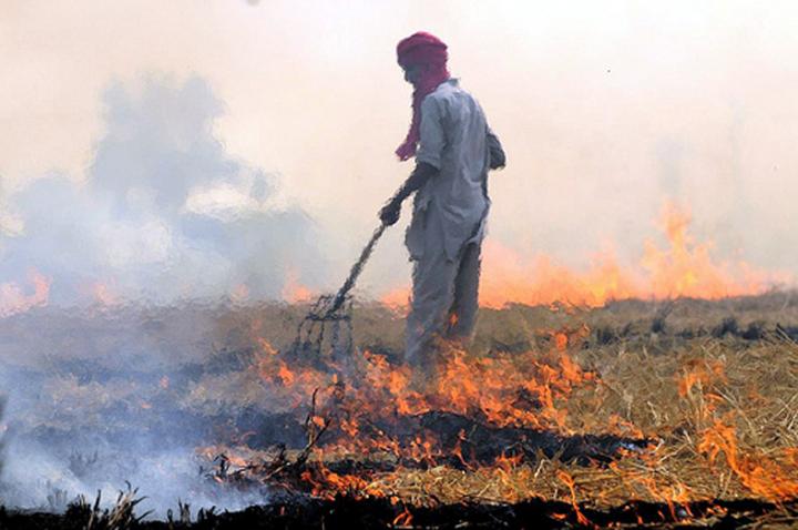 Farmer Tending a Fire