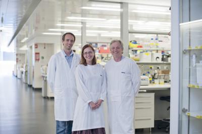 Dr Victor Peperzak, Dr Ingela Vikstrom and Associate Professor Tarlinton