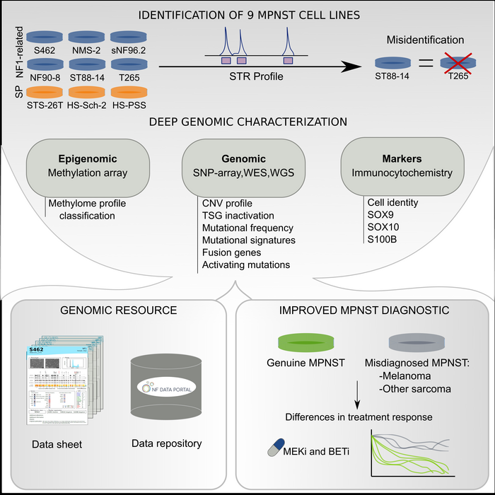 Graphical abstract of the study