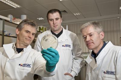 Tony Maxwell, Marcus Edwards, Dr. David Lawson, Norwich BioScience Institutes