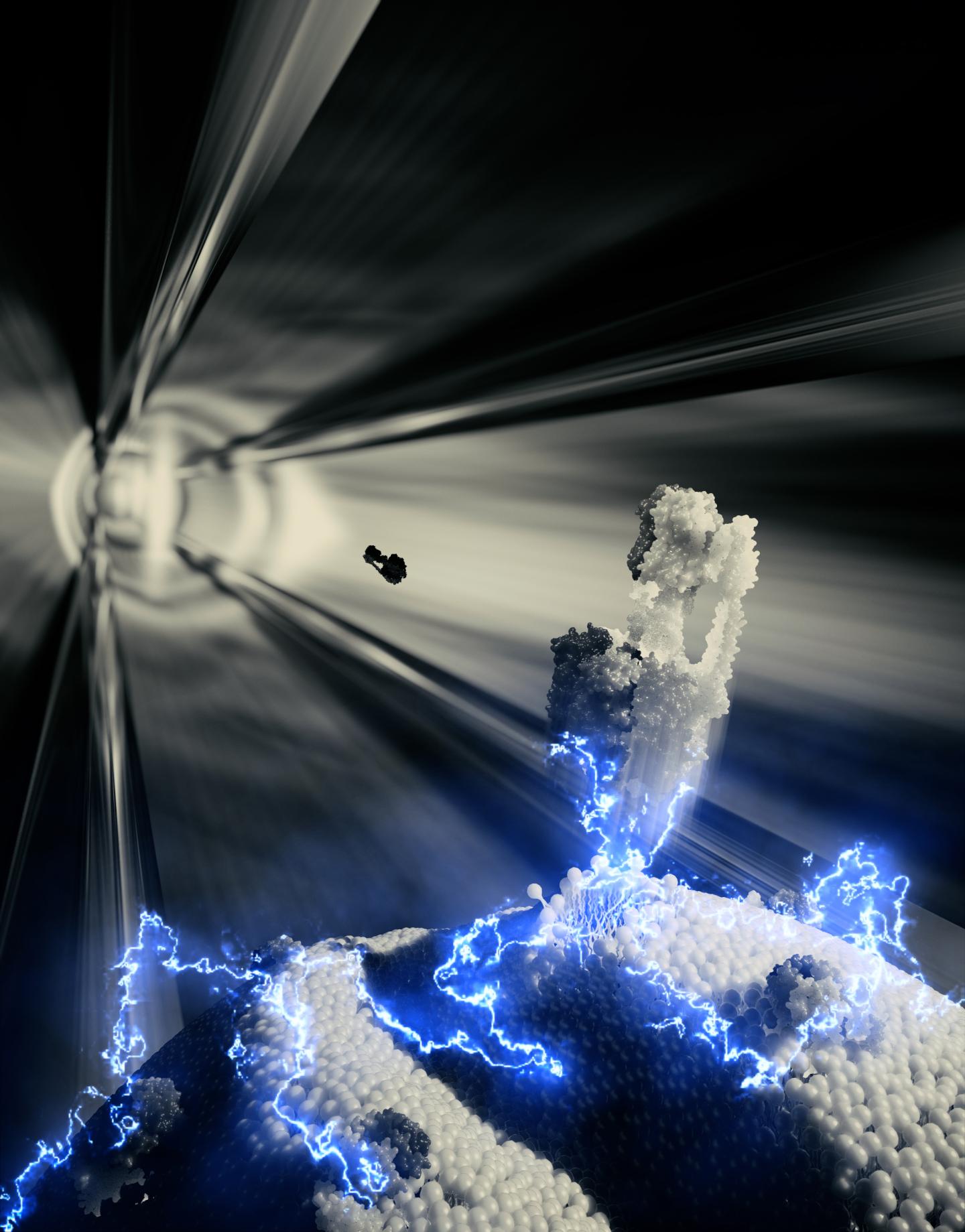 Cell Membrane close-up