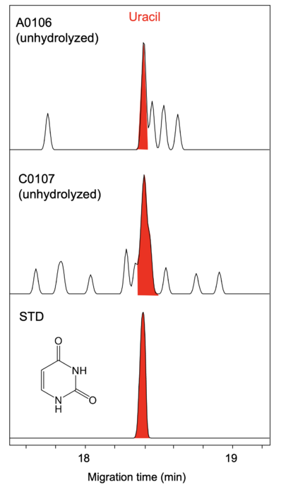 Uracil in mass chromatograms from Ryugu samples