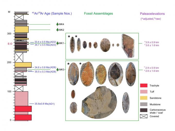 Markam Measured Section in the Lawula Formation