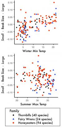 Relationship between Winter (Top Graph) and Summer (Bottom Graph) Temperatures Vs Beak Size