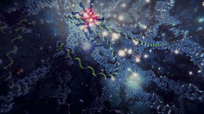 DNA methylation