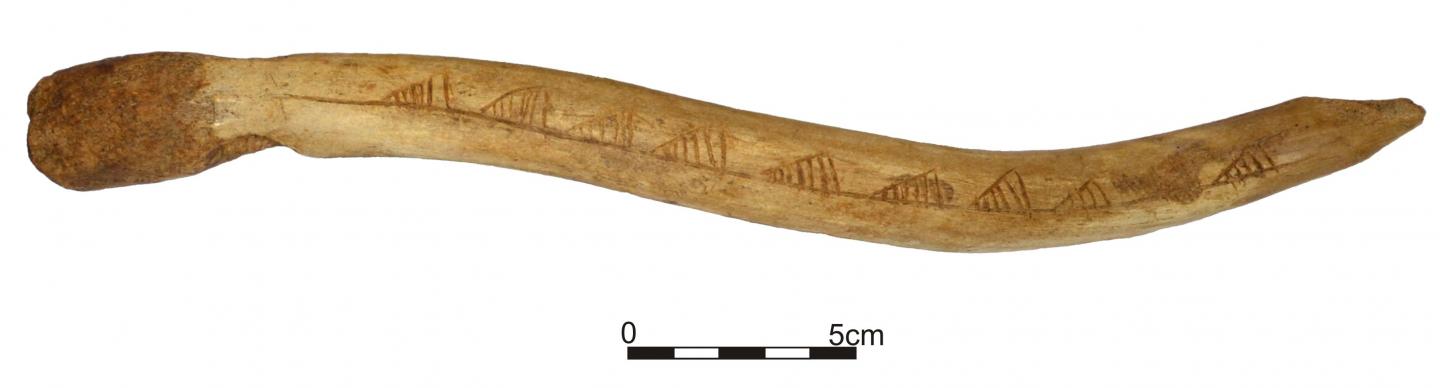 Ornamented Artifact May Indicate Long-Distance Exchange Between Mesolithic Communities