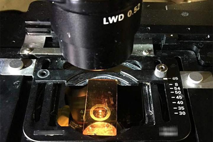 Newly Improved Glass Slide Turns Microscopes into Thermometers